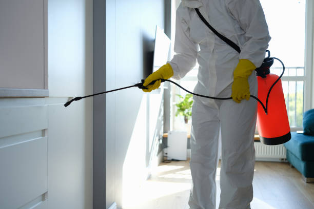 Best Office Mold Removal Services  in Enterprise, WV