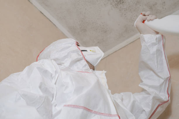 Reliable Enterprise, WV Mold Removal Solutions