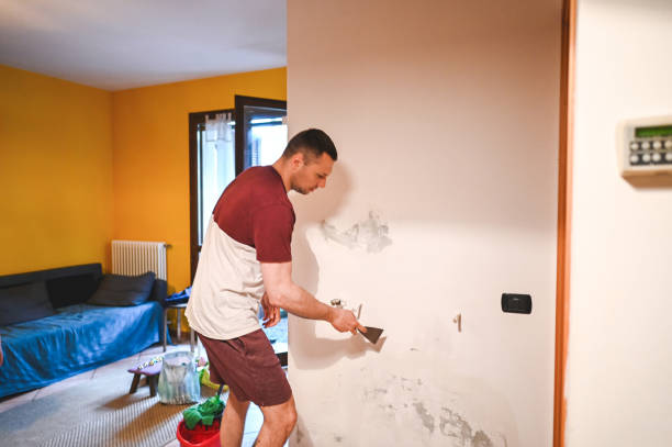 Best Attic Mold Removal  in Enterprise, WV
